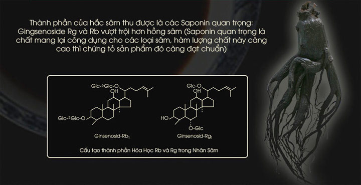 Thành phần saponin có chứa trong hắc sâm trải qua với 9 lần hấp và sấy